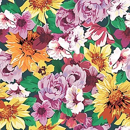 花朵图案矢量图