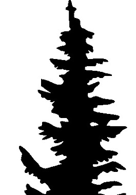 永远的绿色植物剪贴画