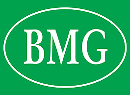 BMG的标志