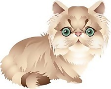 猫76向量