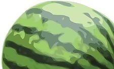 西瓜1