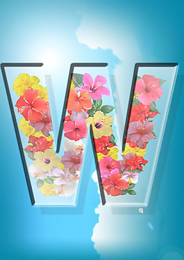 水晶字W