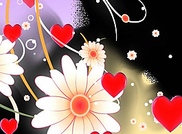 漂亮的鲜花视频素材背景模板