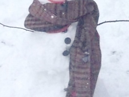 雪人试剂盒