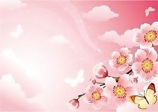 樱花背景