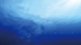 深海图片 深海素材 深海模板免费下载 六图网