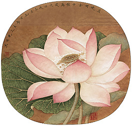 国画荷花