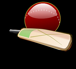 cricket_03