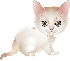 猫71向量
