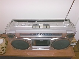 西尔斯SR 2100音响单选按钮