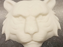 TIGR