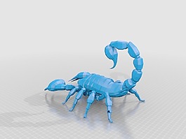 新维加斯RAD职责