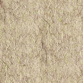 皮纹材质3d贴图材质贴图 5