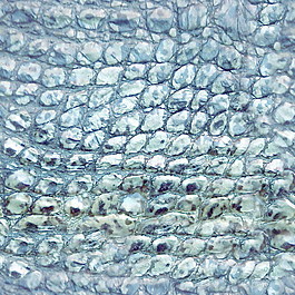 皮革皮纹材质3d贴图3d材质贴图下载 3