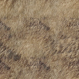 皮革皮纹材质3d贴图3d材质贴图 11