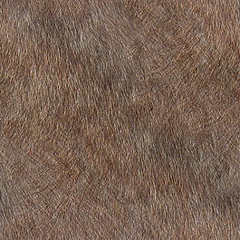 皮革皮纹材质3d贴图3d材质贴图 8