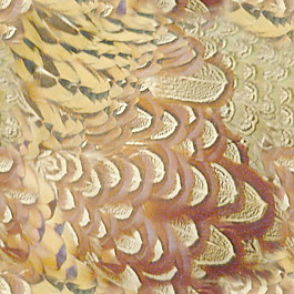 皮革皮纹材质3d贴图3d贴图素材 5