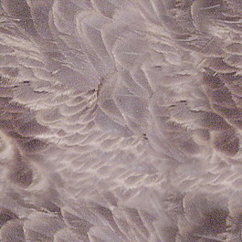 皮革皮纹材质3d贴图3d材质贴图下载 19