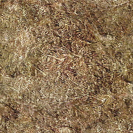 皮革皮纹材质3d贴图3d材质贴图下载 13