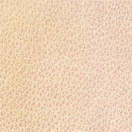 皮革皮纹材质3d贴图3d材质贴图下载 31