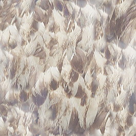 皮革皮纹材质3d贴图编织物贴图 17