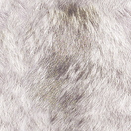 皮革皮纹材质3d贴图3d材质贴图下载 2