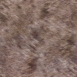 皮革皮纹材质3d贴图3d材质贴图 6