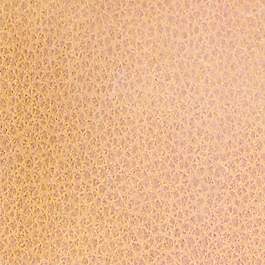 皮革皮纹材质3d贴图材质贴图 32