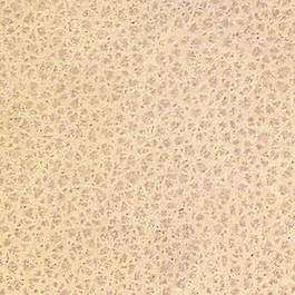 皮革皮纹材质3d贴图3d材质贴图下载 36