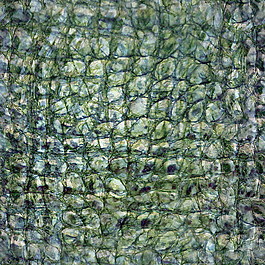 皮革皮纹材质3d贴图3d材质贴图下载 26