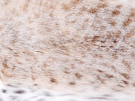 皮纹材质3d贴图材质贴图 45