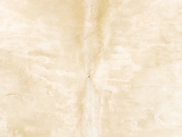 皮纹材质3d贴图材质贴图 52