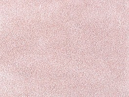 皮纹材质3d贴图材质贴图 91