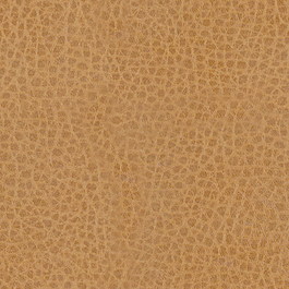 皮纹材质3d贴图材质贴图 165