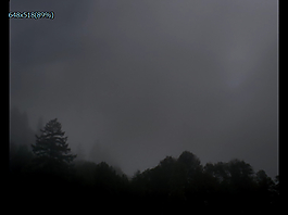 山林实拍视频下载