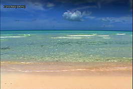 海水沙滩实景