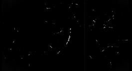 屏幕背景雪花特效展示