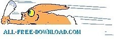 兔子的消息
