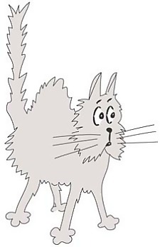 猫36向量