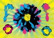 沃霍尔的花