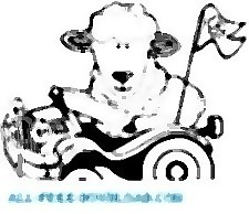 小羊在车