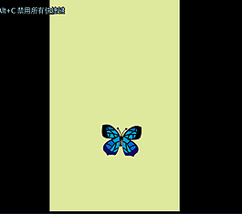 蓝色蝴蝶