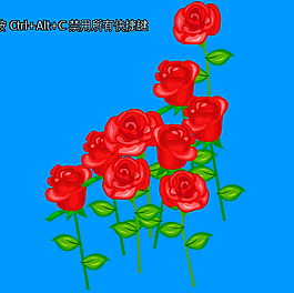 玫瑰花
