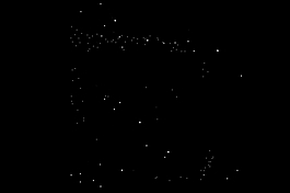 星光