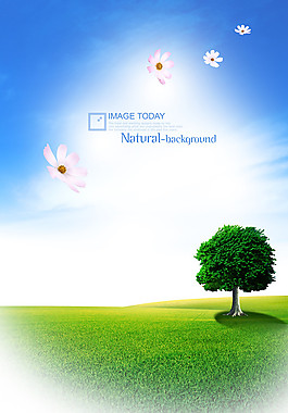 高清绿色概念草树素材