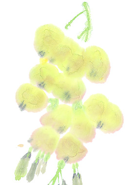国画艺术