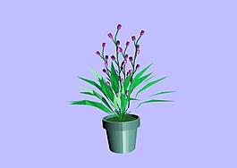 植物3D模型素材（20080502更新）22