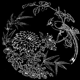 寿带菊花图
