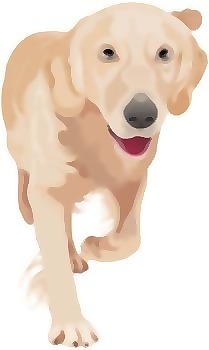 於1