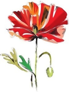 Mak花1